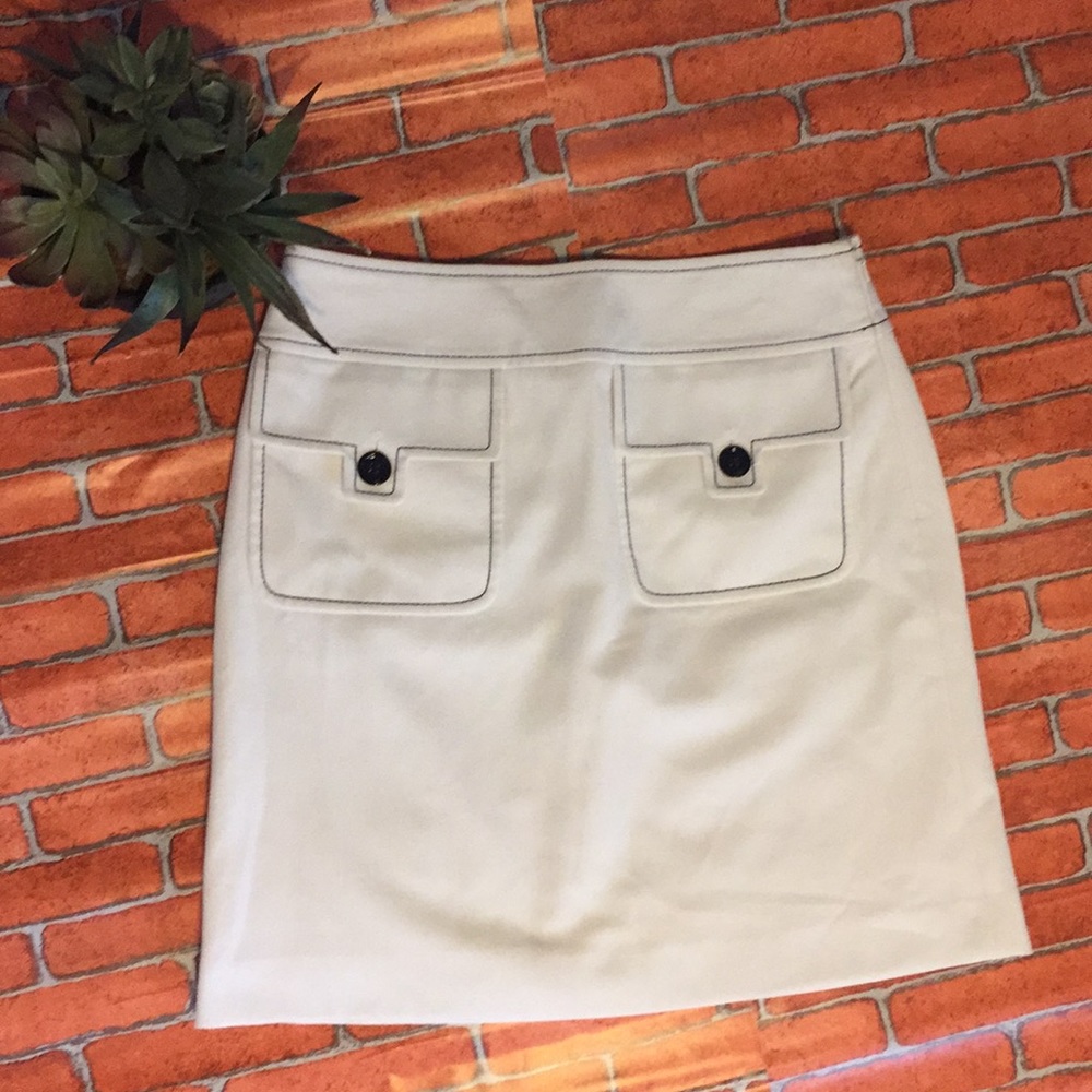Loft Ann Taylor skirt